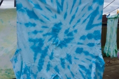 22365420_319051855226251_960679959001432622_n