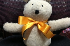 teddy1
