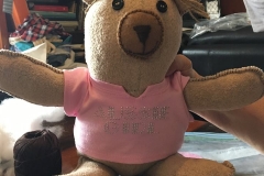teddy2