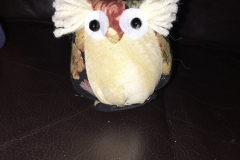teddy4