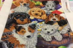 22405808_1721414571222897_1591658403622796056_n